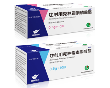 注射用克林霉素磷酔R